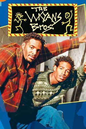韦恩斯兄弟,The Wayans Bros.(1995电视剧集)