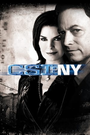 犯罪现场调查之纽约篇,CSI: NY(2004电视剧集)