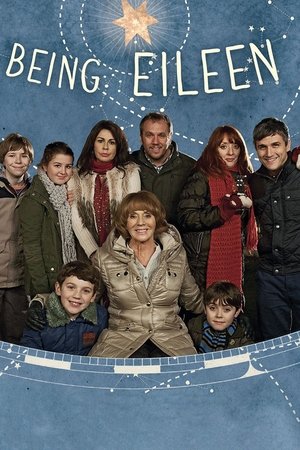成为艾琳,Being Eileen(2013电视剧集)