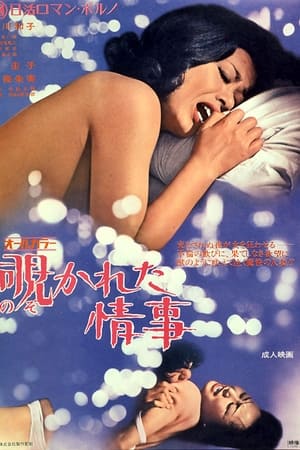 偷窥的情事,覗かれた情事(1972电影)