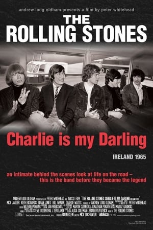 滚石乐队1965,The Rolling Stones: <em>Charlie</em> Is My Darling - Ireland 1965(2012电影)
