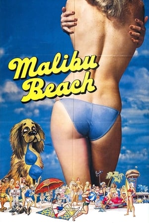 马里布海滩,Malibu Beach(1978电影)