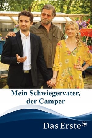 岳父的反击电影海报