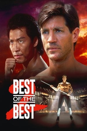 黑带精英2,Best of the Best 2(1993电影)