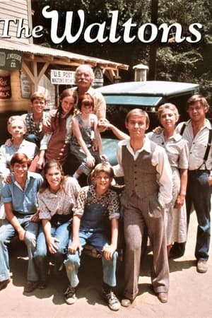 沃尔顿一家,The Waltons(1972电视剧集)