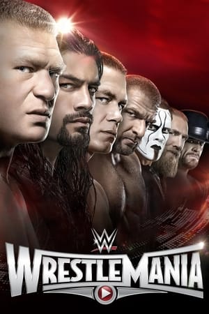 WWE 摔角狂热 31