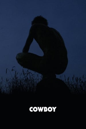 牛仔惊魂,Cowboy(2008电影)