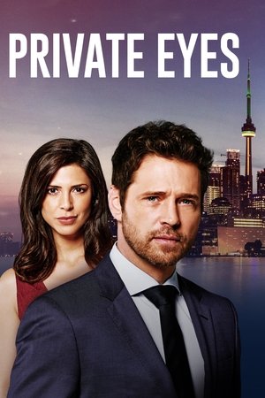 私家侦探,Private Eyes(2016电视剧集)