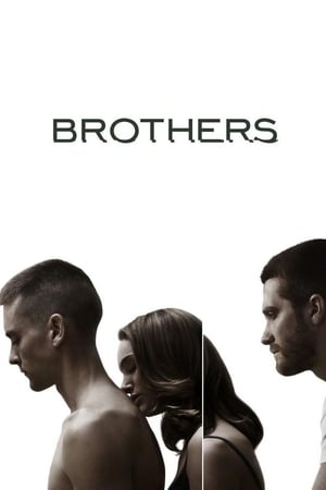 兄弟,Brothers(2009电影)