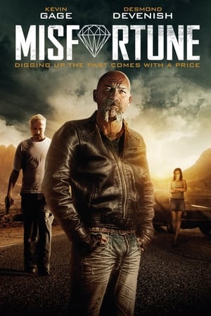 厄运,Misfortune(2016电影)
