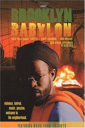 布鲁克林巴比伦,Brooklyn Babylon(2001电影)
