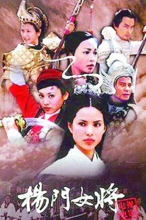 杨门女将(2001电视剧集)