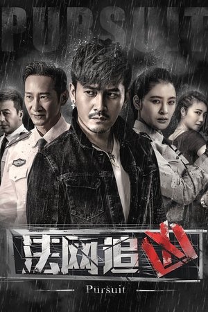 法网追凶(2018电视剧集)