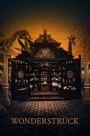 寂静中的惊奇,Wonderstruck(2017电影)