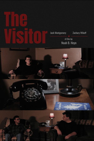 The Visitor电影海报