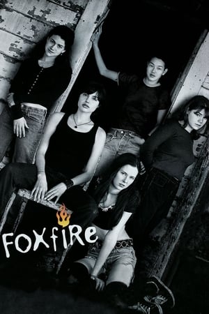 恶女帮,Foxfire(1996电影)