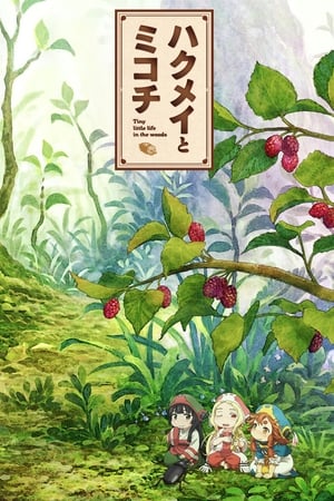 妖精森林的小不点
