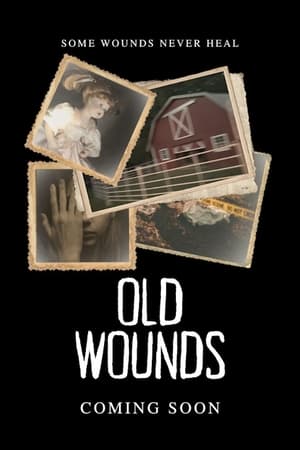 旧疤痕,Old Wounds(2024电影)