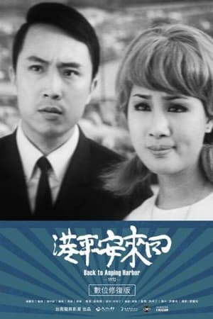 回来安平港