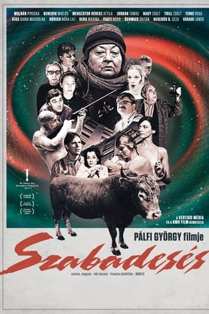 自由落体,Szabadesés(2014电影)