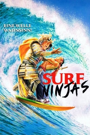 浪潮武士