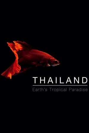 泰国:地球上的赤道天堂