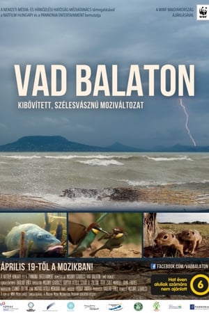Vad Balaton海报