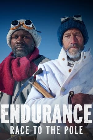 Endurance: Race to the Pole