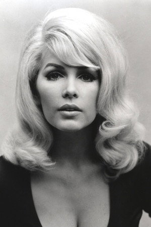 安德魯·史蒂文斯合作演员Stella Stevens
